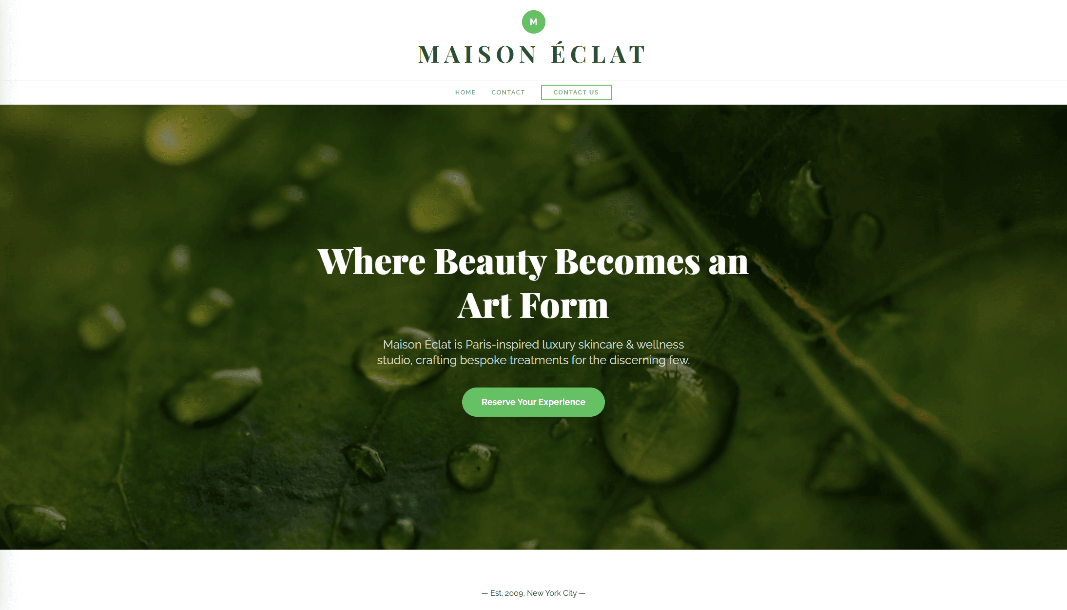 Luxe template preview